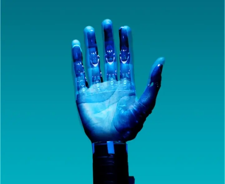 What We ♥ About the AI Fund